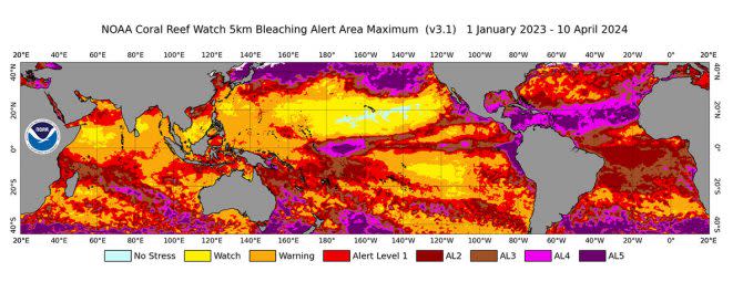 Coral bleaching around the world