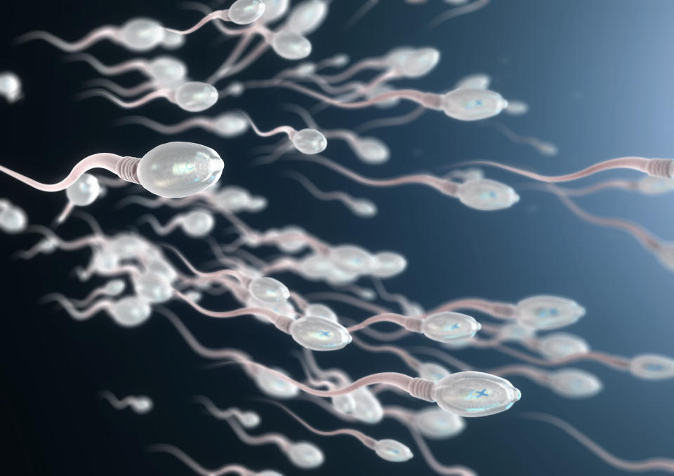 3d illustration of sperm cells moving to the right