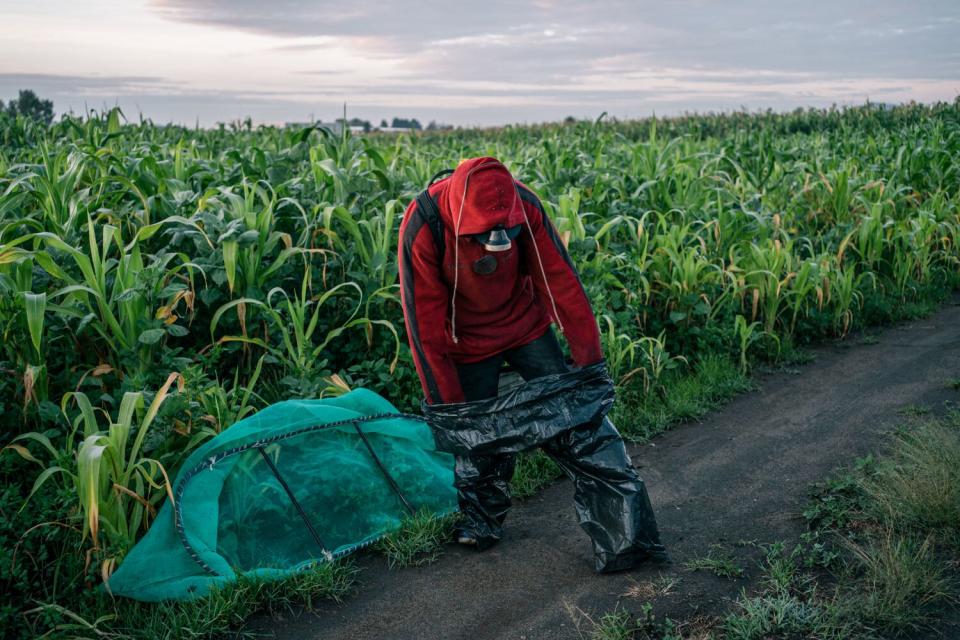 A man takes plastic bags off his legs at the edge of a field