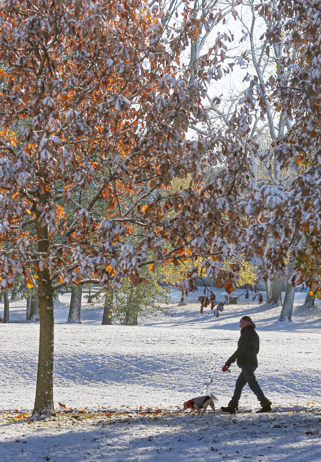 A dog walker strolls by a snowy Hardesty Park in Akron.