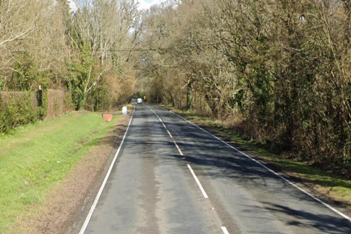 Man in his 30s dies after crashing into tree on country road <i>(Image: Google Maps)</i>