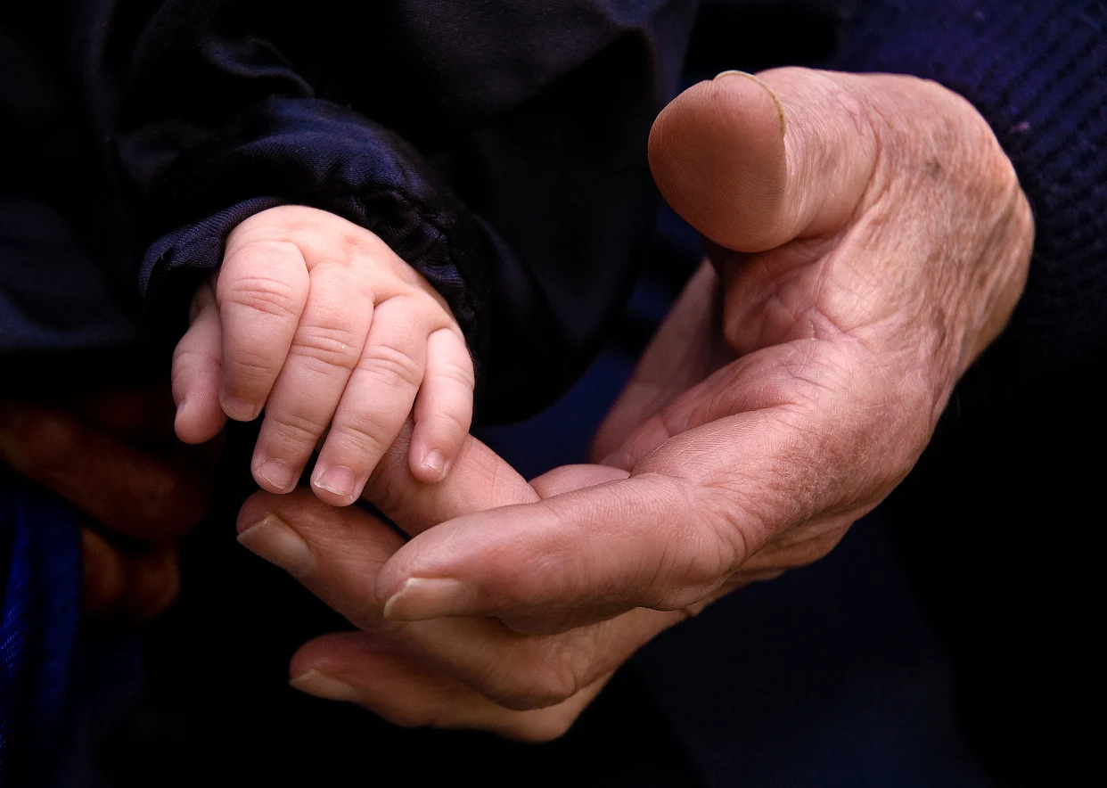 Close-up of a baby's hand holding the finger of an adult's hand.