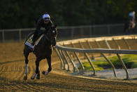 Preakness Stakes entrant Blazing Sevens works out ahead of the 148th running of the Preakness Stakes horse race at Pimlico Race Course, Thursday, May 18, 2023, in Baltimore. (AP Photo/Julio Cortez)