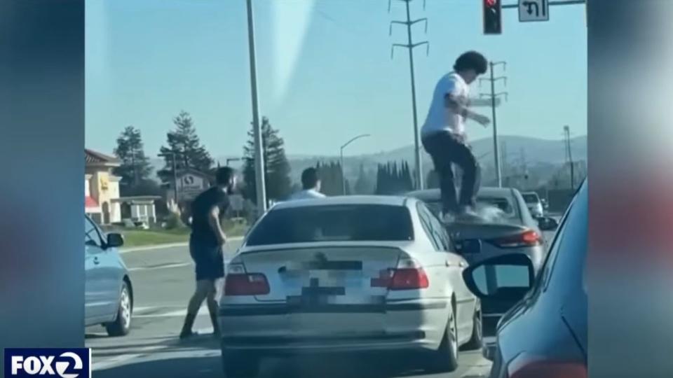 California Road Rager Seriously Injures Dog