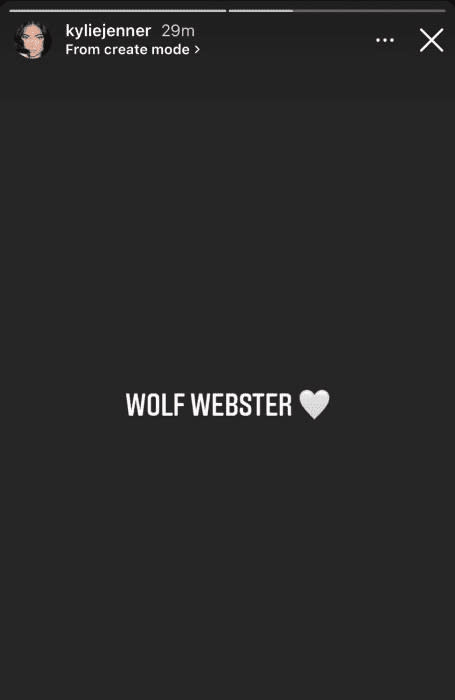 wolf-webster-z.jpg