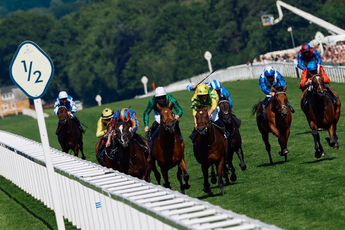 Auguste Rodin won on day two of Royal Ascot in June  (AFP via Getty Images)