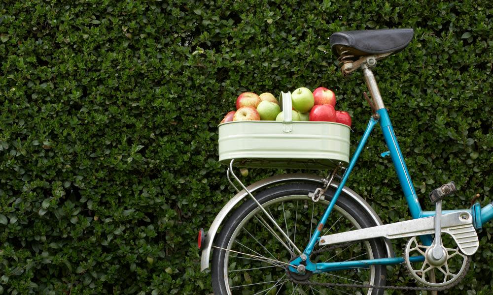 Bike with apples