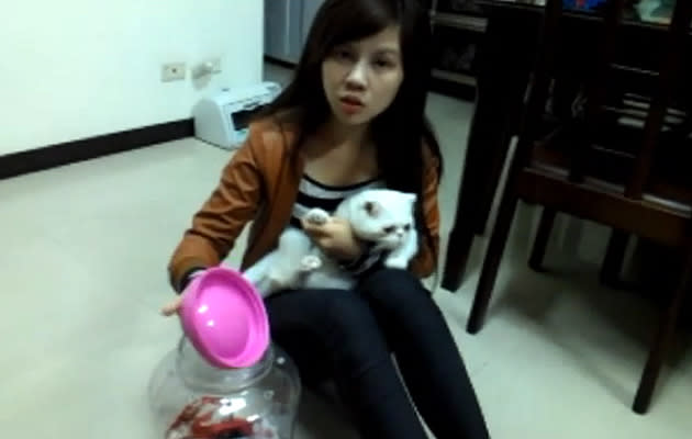 University student in Taiwan flamed for photo of pet cat put in plastic bottle. (YouTube screengrab)