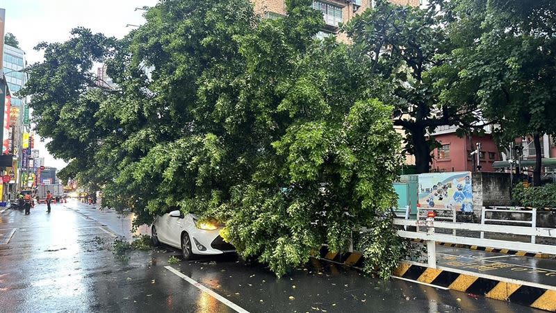 路樹倒塌重壓轎車，讓女駕駛嚇壞。（圖／翻攝畫面）