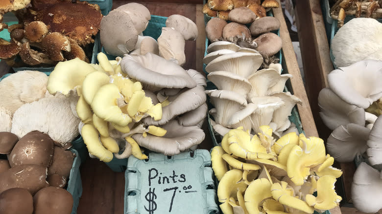 mushrooms at a farmer's market