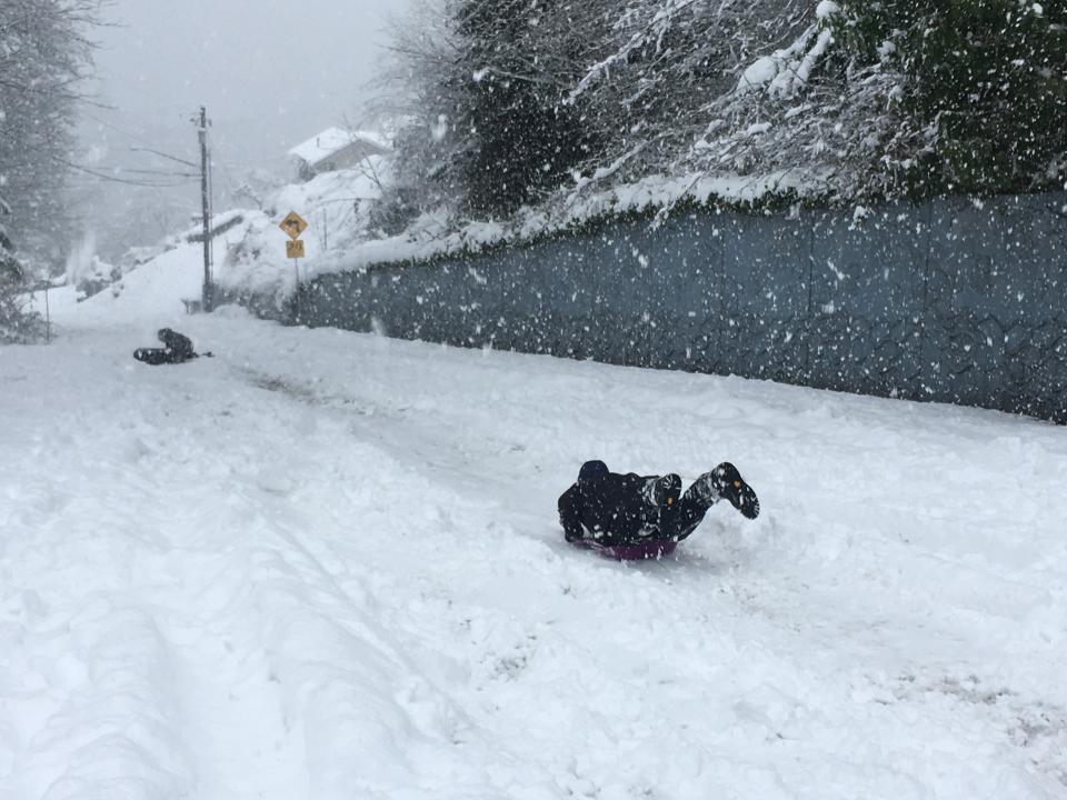 People sled down an unplowed road on Monday, Feb. 11, 2019, in Olympia, Wash. Schools closed across Washington state and the Legislature canceled all hearings Monday with winter snowstorms pummeling the Northwest again as a larger weather system wreaked havoc in the region and even brought snow to Hawaii. (AP Photo/Rachel La Corte)