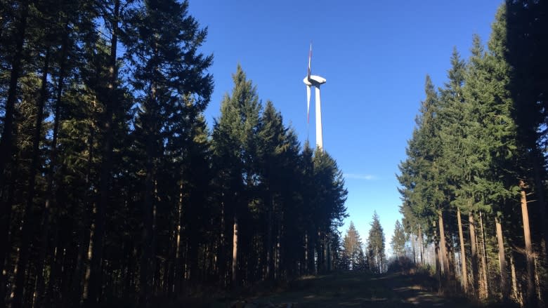 Freiburg leading Germany's green energy revolution