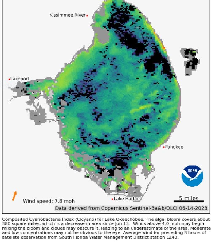 A satellite view of Lake Okeechobee taken on Wednesday, June 14 shows the lake more than half covered with an algae bloom.