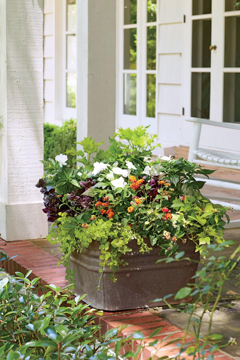 Rustic Freestanding Container