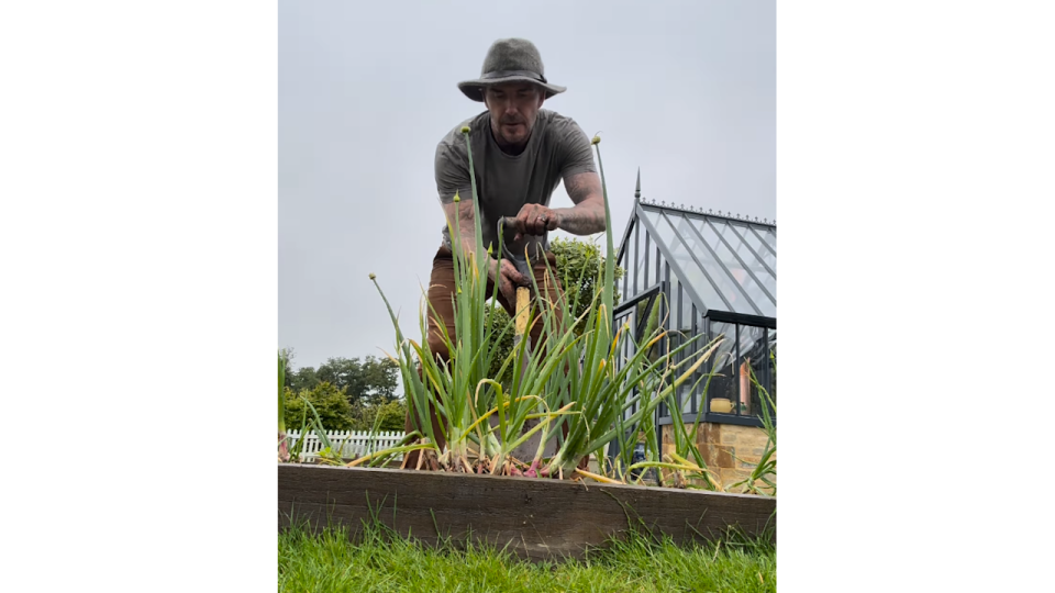 David Beckham shared a snap of their greenhouse-style conservatory at home