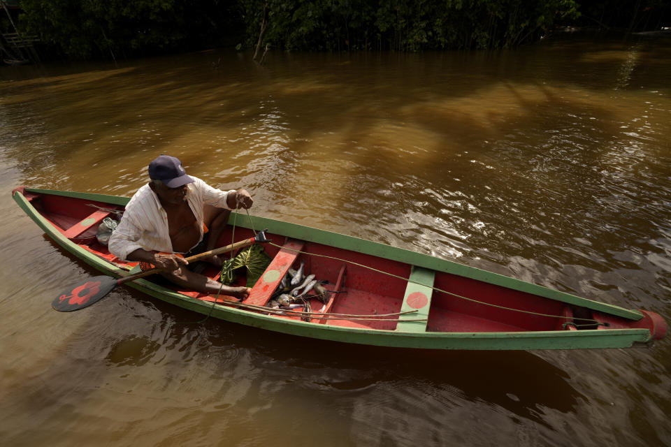 A traditional fisherman works in his boat in the waters of the Igarape Combu, on the shores of Ilha do Combu, near the city of Belem, Para state, Brazil, Saturday, May 27, 2023. (AP Photo/Eraldo Peres)