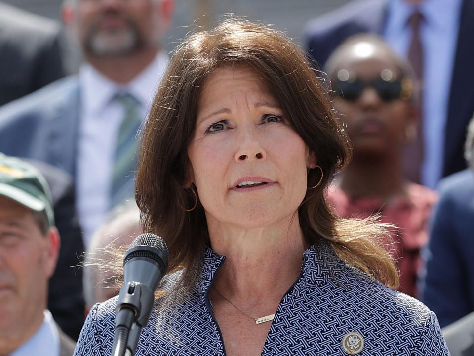 Cheri Bustos