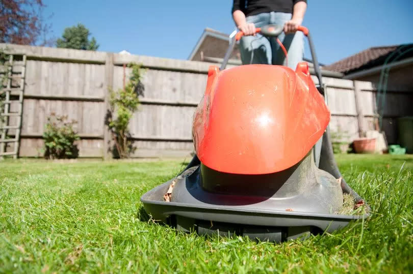 Woman and brand new hover lawnmower with fence in background