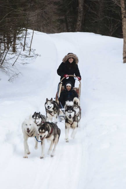 Dog Sledding