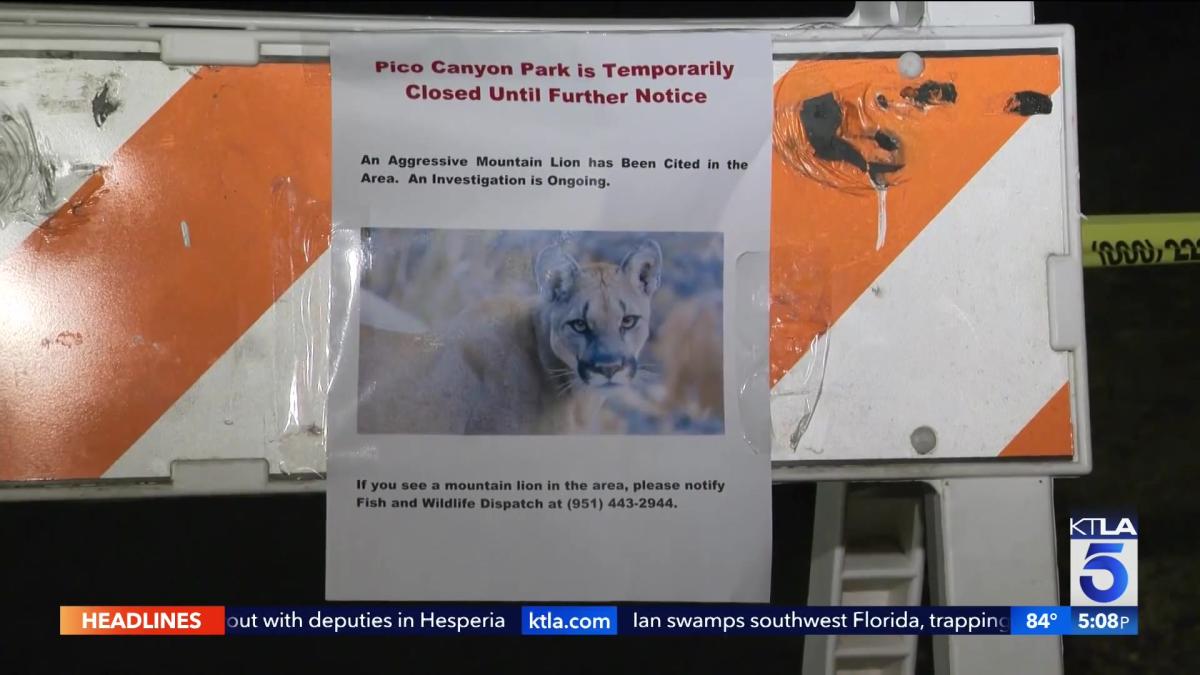 California family of boy attacked by mountain lion now concerned about ...