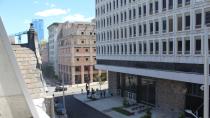 Montreal Museum of Fine Arts buzzing with activity as bees take up residence on roof