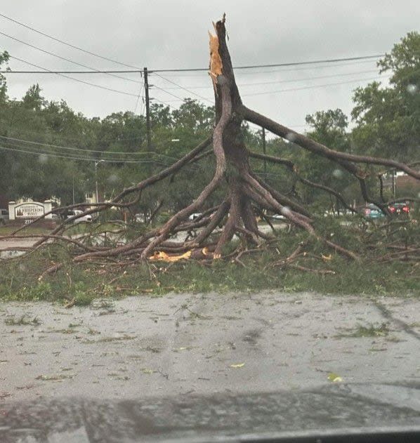 Citizens are reporting damage across Tallahassee.