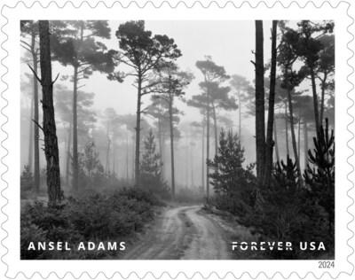 El Servicio Postal de EE. UU. revela estampillas adicionales para 2024 - Estampilla de Ansel Adams - Crédito de la imagen: Servicio Postal de EE. UU.