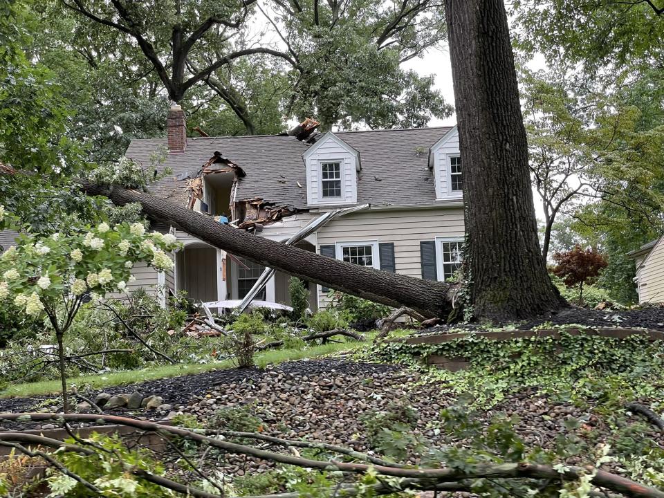 Strong winds felled many trees in Silver Lake, including some the damaged homes.
