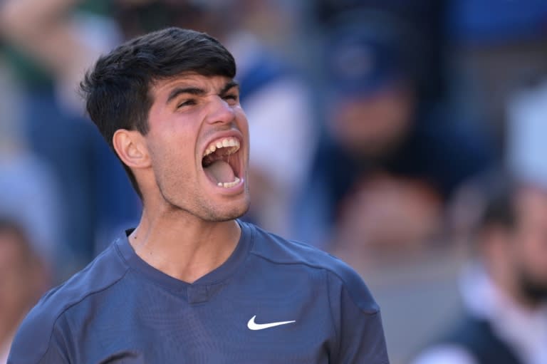 Carlos Alcaraz fought back to reach his third Grand Slam final (Bertrand GUAY)