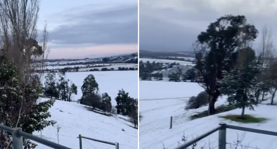 Snow seen fallen on a Launceston field in Tasmania.