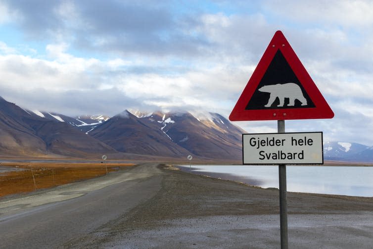 Polar bear warning sign, text beneath says 