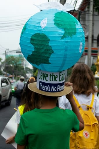 Protestors, like this one in Bangkok, are demanding urgent action to stop environmental disaster