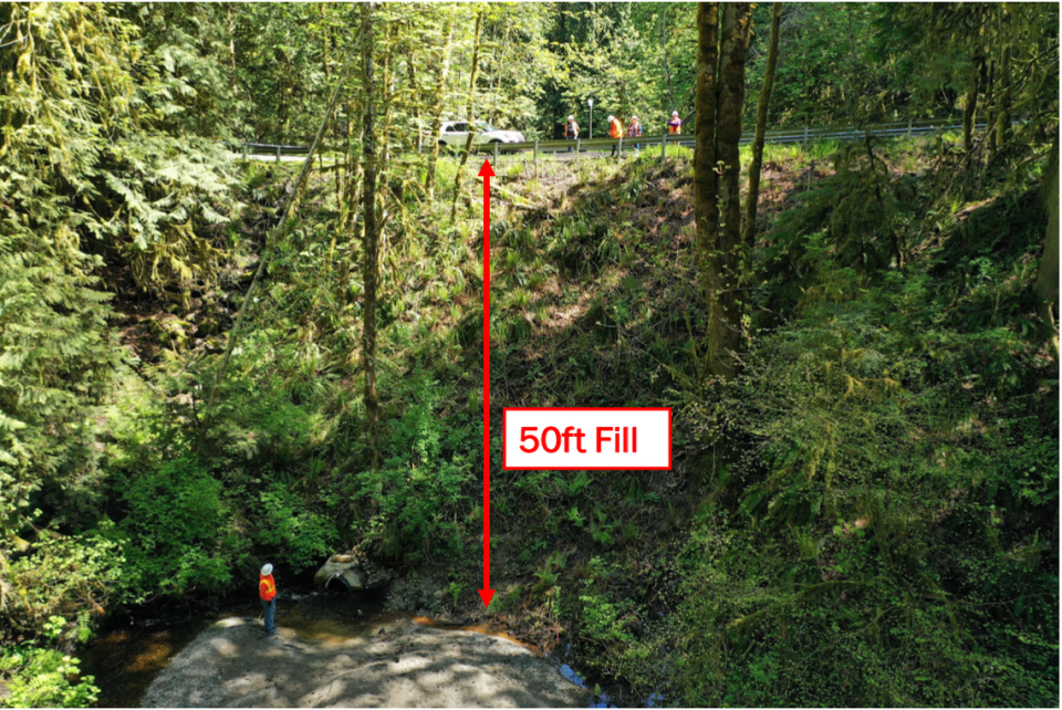 A person stands at the bottom of a 50-foot tall embankment supporting Country Club Road Northwest in Thurston County. The culvert at the bottom of the embankment started collapsing in 2021. Courtesy of Thurston County