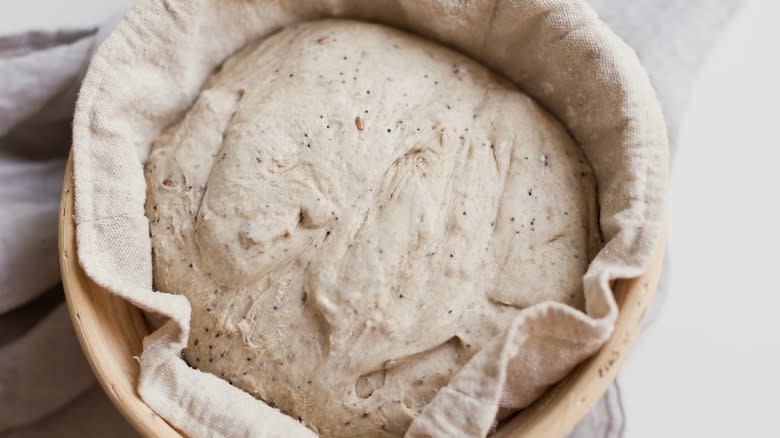 bread proofing in banneton basket