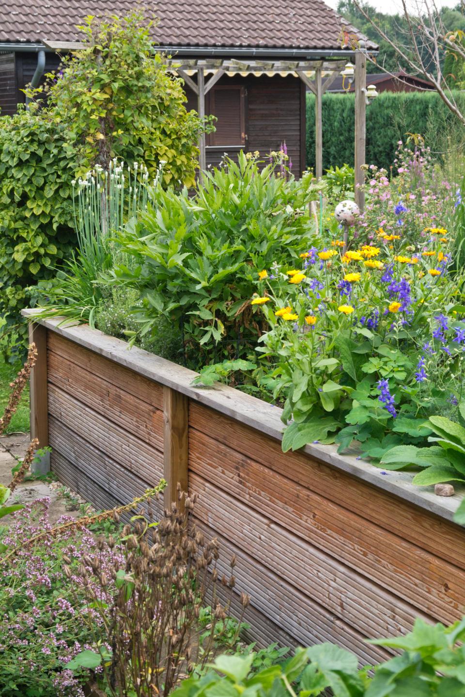 A raised plant bed