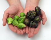 <p>Up 8.4%: Love them or loathe them, Brussels sprouts are as synonymous with Christmas dinner as the turkey. This year, sprouts are up 8.4%, says Kantar, possibly as they become a new trendy food favourite. (Mark Clifford/Barcroft Media/Getty Images) </p>