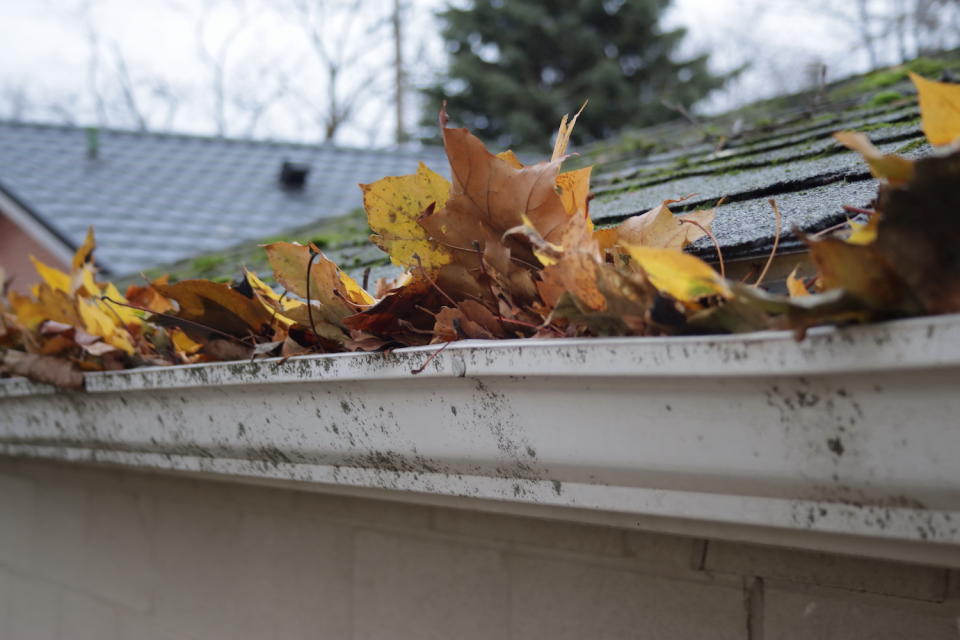 gutter clogged with leaves