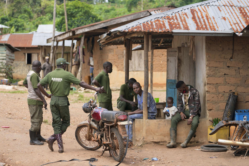 Rangers, at left, speak with a farmer inside the Omo Forest Reserve, in Nigeria on Wednesday, Aug. 2, 2023. Farmers, buyers and others say cocoa heads from deforested areas of the protected reserve to companies that supply some of the world’s biggest chocolate makers. (AP Photo/Sunday Alamba)