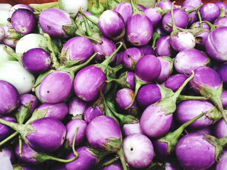 A large number of Thai purple eggplants are shown that are a lavender purple color