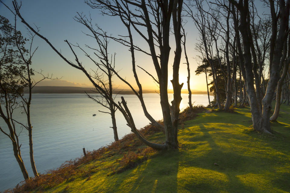 Brownsea Island, Dorset