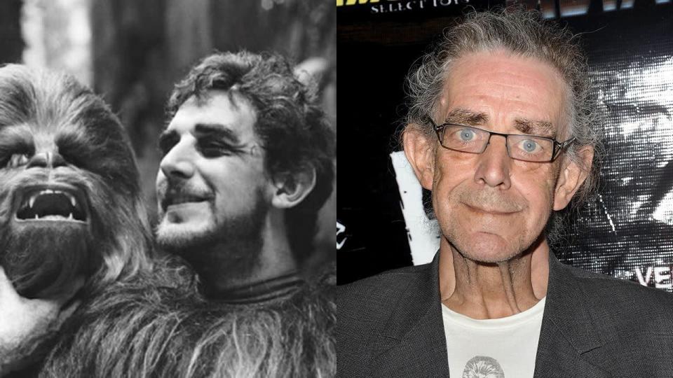 Peter Mayhew (Chewbacca): The 7ft 3in Brit said all he needed to do to play Han Solo’s giant ‘walking carpet’ companion was “stand up”. He became a naturalised American citizen in 2005, and had double knee replacement surgery in 2013, but will return as Chewbacca for ‘Episode 7’.