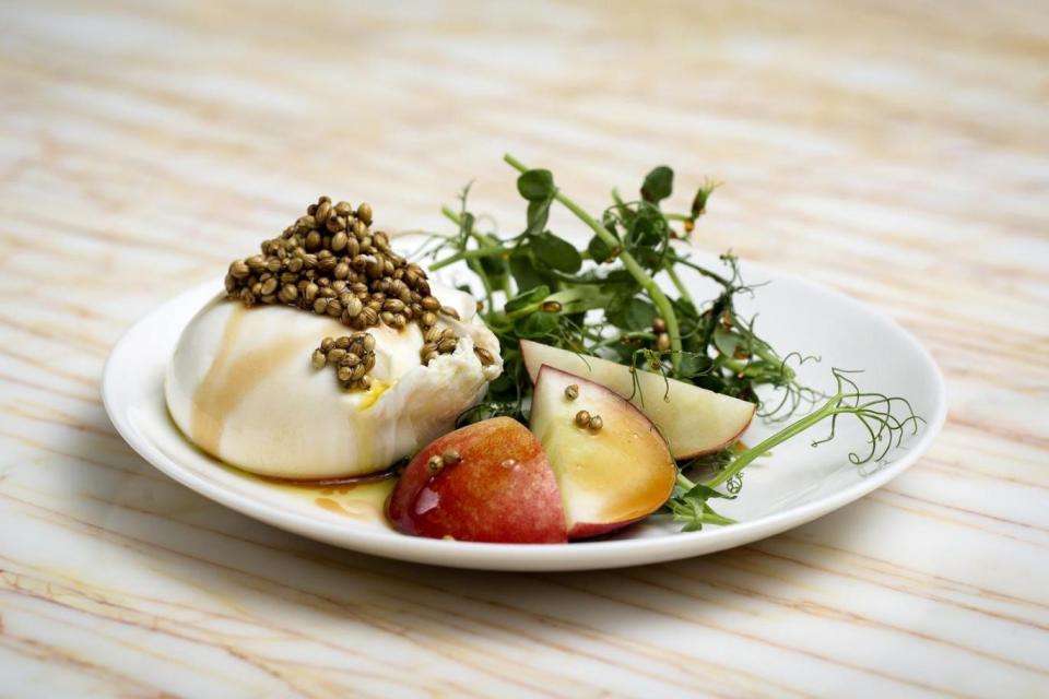 Burrata with peaches and coriander (John Carey)