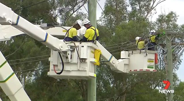 Justin Page said the union had raised clearing and maintenance around poles as an issue of concern. Source: 7 News