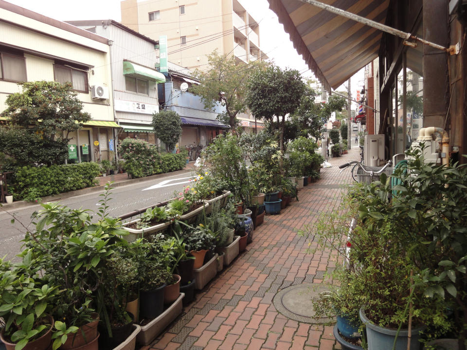 This Oct. 22, 2013 photo shows a street lined with potted plants in front of shops in the Yanaka neighborhood of Tokyo. Despite the lack of yards, the narrow streets are lined with gardens that residents and shopkeepers maintain in flowerpots. (AP Photo/Linda Lombardi)