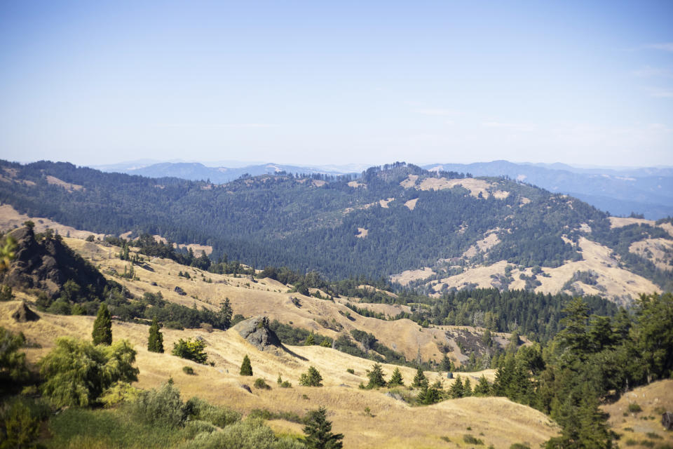 The King Range in Humboldt County, Calif., typically has wet winters and dry weather in summer. The drought year saw the rain stop early. (John Brecher / for NBC News)