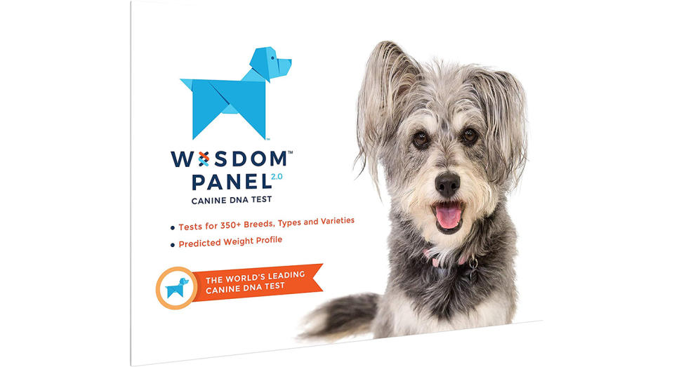 Wisdom Panel 2.0 Dog DNA test 