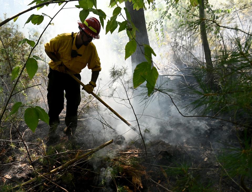 A firefighter works on a hot spot in the Marlborough-Sudbury State Forest, Aug. 20, 2022. The area is also known as "The Desert."