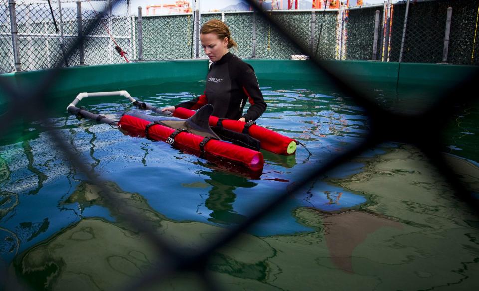 Veterinarian technician Robinson wades with a false killer whale calf after it was rescued near the shores of Tofino and brought to the Vancouver Aquarium Marine Mammal Rescue centre in Vancouver