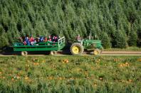 <p>If you own a pickup truck, simply add hay and load the whole family in for a ride around the country.</p>