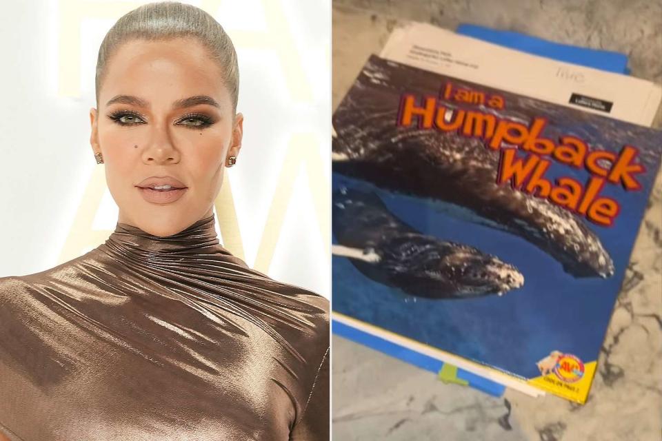 <p>Getty;khloe kardashian/Instagram</p> Khloé Kardashian and a book about whales
